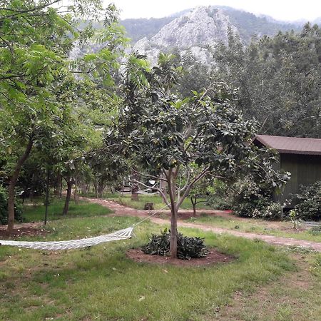 Kibala Hotel Çıralı المظهر الخارجي الصورة
