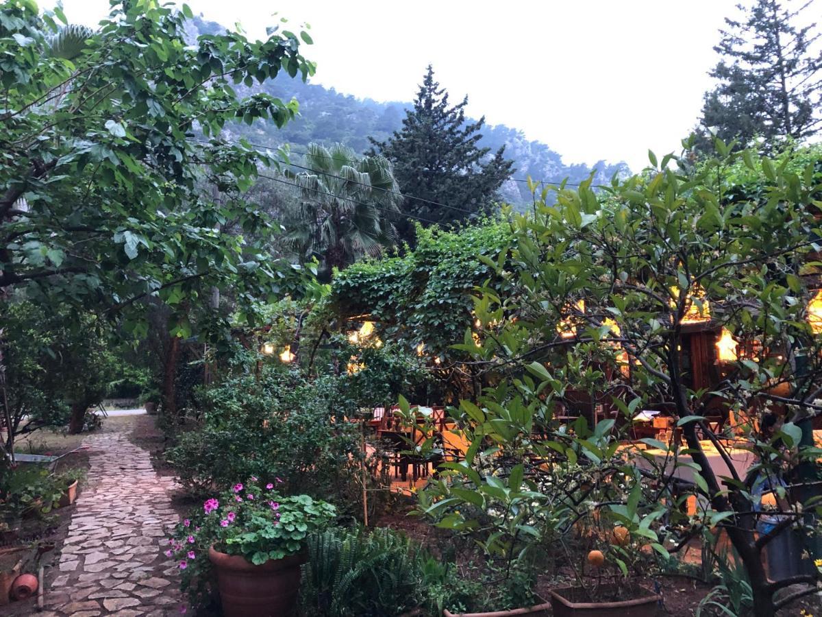 Kibala Hotel Çıralı المظهر الخارجي الصورة