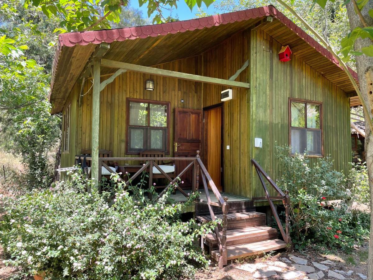 Kibala Hotel Çıralı المظهر الخارجي الصورة