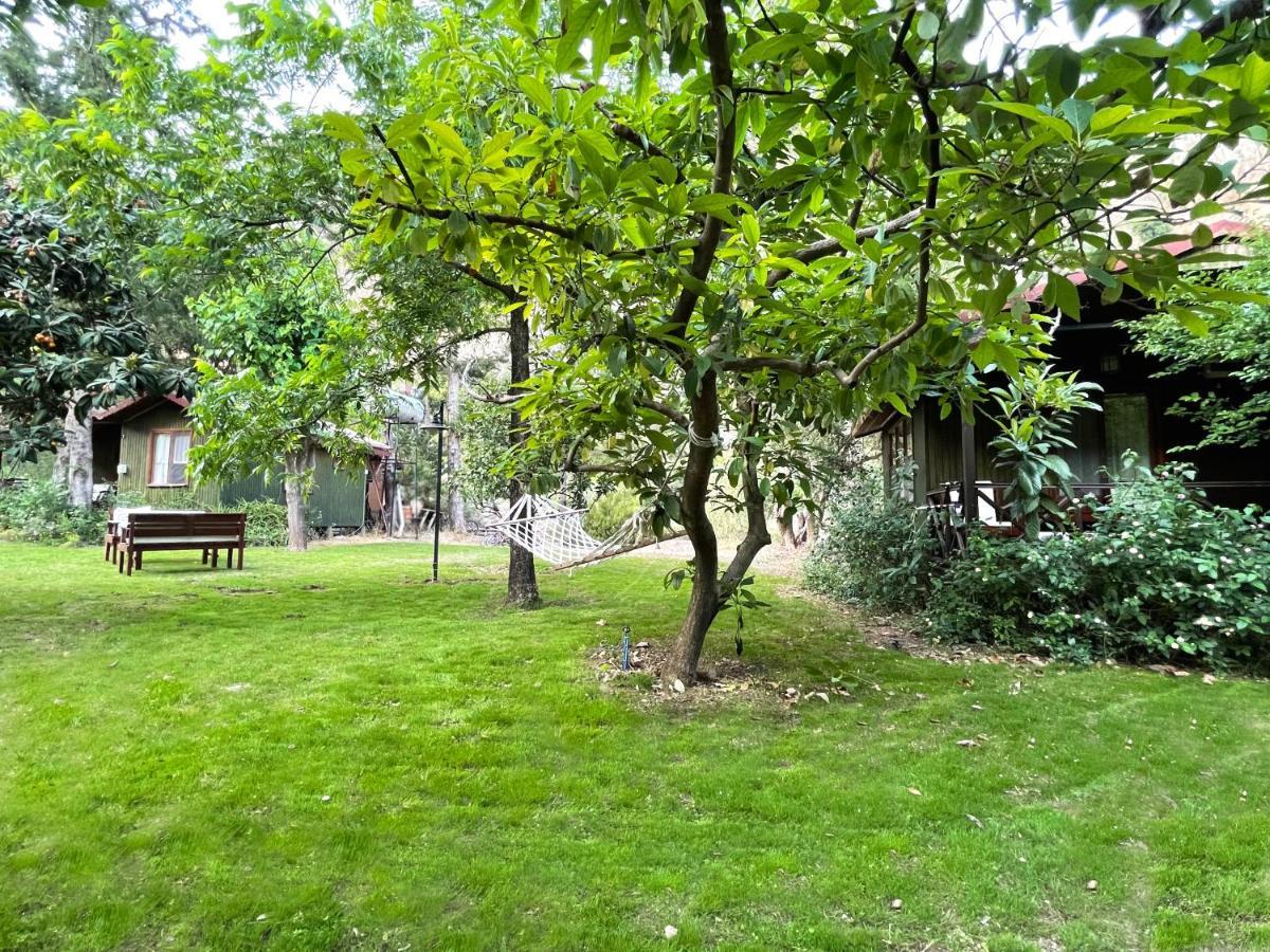 Kibala Hotel Çıralı المظهر الخارجي الصورة