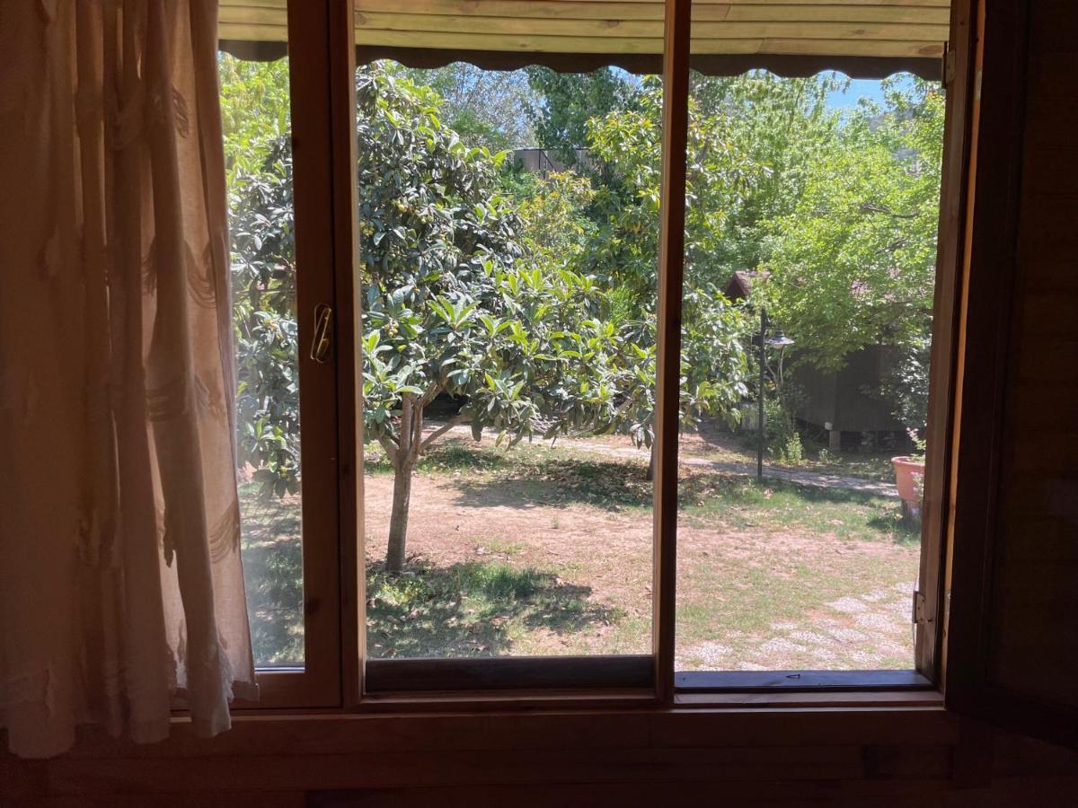 Kibala Hotel Çıralı المظهر الخارجي الصورة