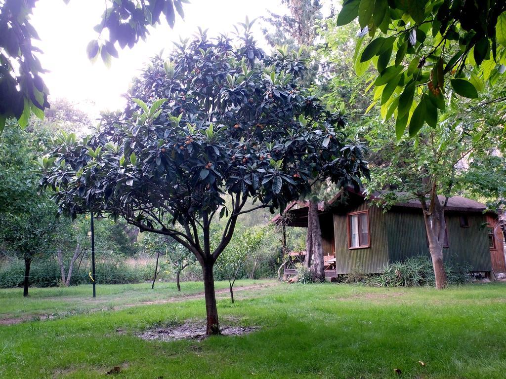Kibala Hotel Çıralı المظهر الخارجي الصورة