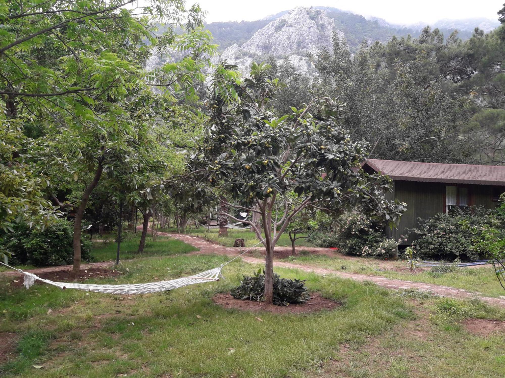 Kibala Hotel Çıralı المظهر الخارجي الصورة