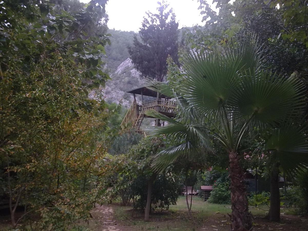Kibala Hotel Çıralı المظهر الخارجي الصورة